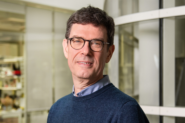 Prof. Dr. Thomas Langer